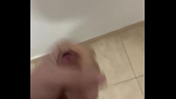 Paja locanto