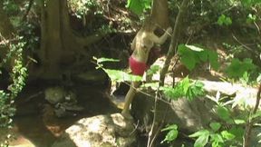 Hiker Fucks Carmen Hollywood When She Was Sunbathing On The Creek! (1st half wmv)