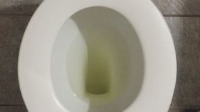 PISS GOLD IN TOILET