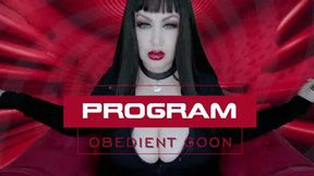 Program Obedient Goon 4K
