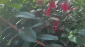 Gf Wears Butt Plug In Public. Flashes Ass And Tits And Gets Caught Multiple Times!
