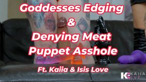 Goddesses Edging & Denying Meat Puppet Asshole