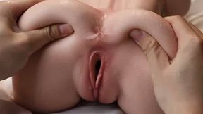 torsoworld