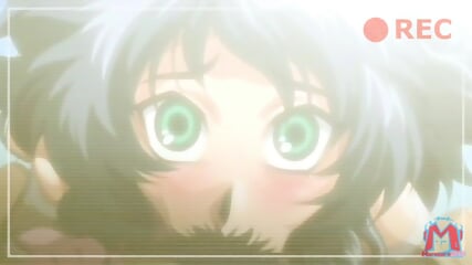 O melhor de Igawa Asagi - HMV