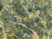Pee on the ocean