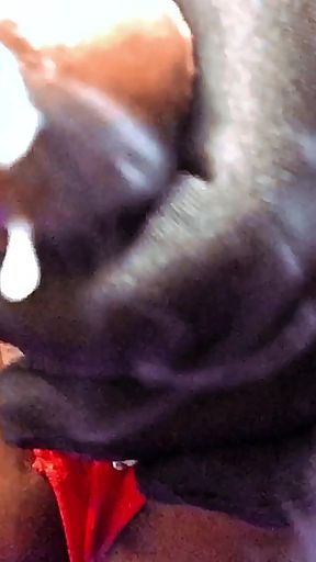 Ms300 Sarazia Exotic - Smoking Hot