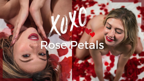Rose Petals