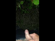Solo male outdoor public pissing compilation