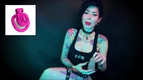 Wear the Clitty Chastity for a Month Let's Shrink Your Leftover Shrimp Locktober Shrinking