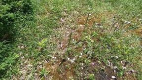 Another surprise blowjob in the forest