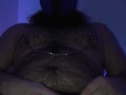 Bearded Pup Shoots a Load with Clamps On