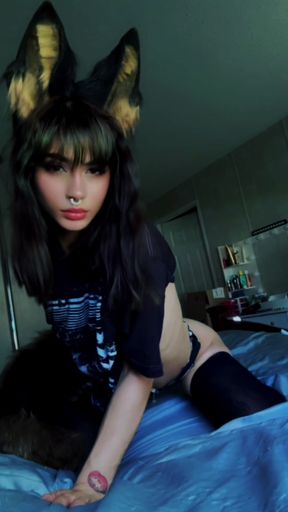 Fox ears and dog tail