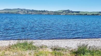 Sucking Dex's Cock In The Woods