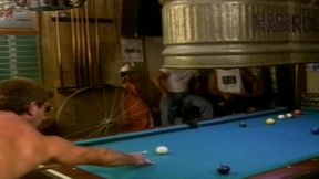 Cue Stick 1