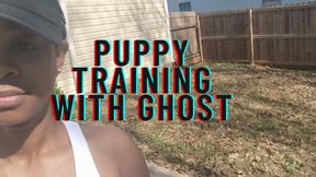 First Day of Puppy Training with Ghost