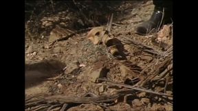 Sunrise and Olivia of Gozonas (film)