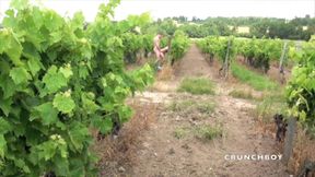 Amazing exhib in wineyards with Nick and straight worker