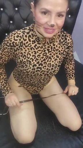a tigress