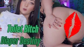 Toilet Bitch Diaper Destiny - AVI