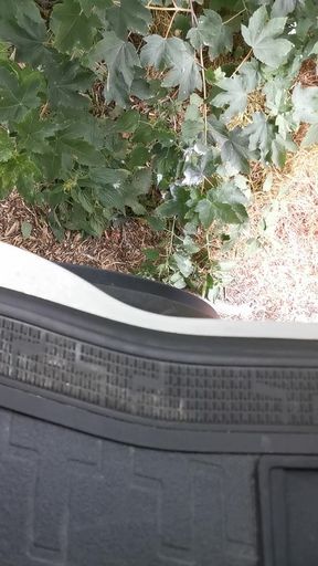 Peeing next to lorry