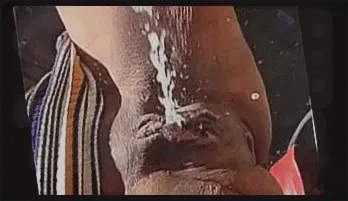 Ebony Mystique's Public Pee Adventure