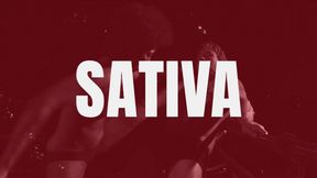 SEXBATTLE RING - BOUT #26 - THE SERIAL BALLBUSTER - SATIVA!