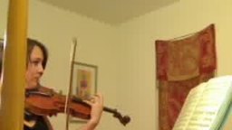 Violin serenade