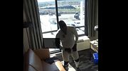 wetsuited masked thief exposes himself to people in hotel parking lot