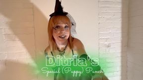 Ditria's Special (Puppy) Punch