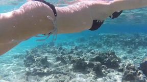 SCUBBA DIVING, PUSSY, ASS FLASHING UNDER WATER