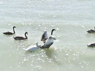 Rampant Robbery Part 1: Bi Besties Leya Desantis And Veronica Leal Share A Glass Vibrator In The Sexy Tub GP3341