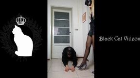 Hands trampling in studded shoes by Alice (fullbody version)