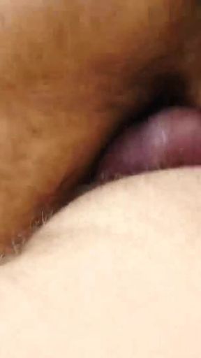 BEARFILMS Hairy Atlas Grant barebacks fat bear Dax Librastic