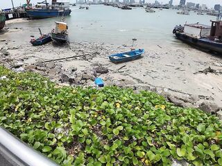 Pattaya Thailand!
