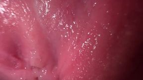 Explicit Dirty Talk and Pussy Close-up Spreading
