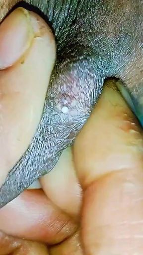 Desi girl hot bangla dirty talking, beautiful xxx video   Clip 1