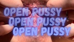 Open pussy in close up