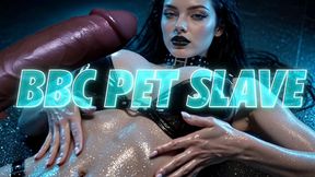 BBC PET SLAVE