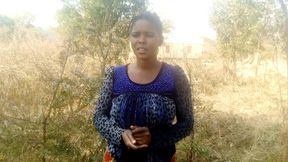 forest  in bush