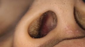 Close-Up of My Nose.