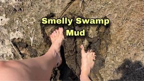 Smelly Swamp Mud: My Dirty Bare Feet Need Your Tongue to Clean Them