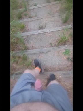 Went for a Walk at the Truck Stop