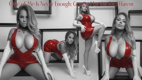 One of Me Is Never Enough: Gooned by the Red Harem