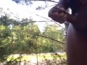 Big Black dick flash roadside