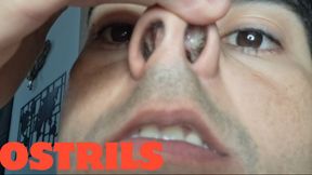 Large nostrils