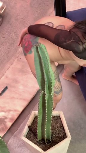 My Roommate Is a VOYERIST, He Records Me While I Masturbate in the Living Room of My House   Clip 1