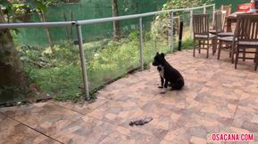 My perverted teacher put the balls in my face