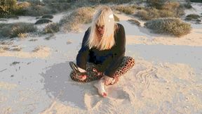 Trouble on a Walk MP4