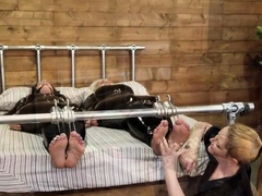 Blowjob Close Up No Hands Cumshot