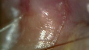 microscope or endoscope? sensational farts in a vore edition inside my ass 4k